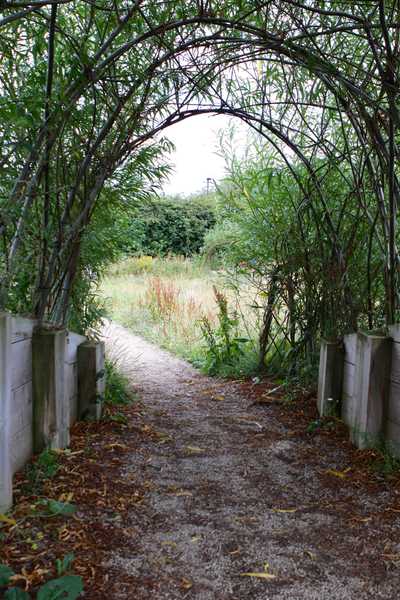 A willow arch leading through wildflowers